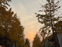 -复旦大学附属华山医院(浦东院区)