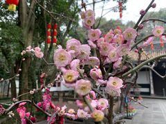 -成都杜甫草堂博物馆