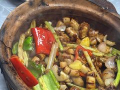 -天宝食坊·啫啫煲大排档(西华路店)