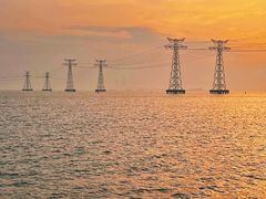 -宝安西湾红树林湿地公园