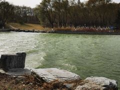 -大兴滨河森林公园