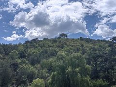 -香山公园
