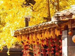 -腾冲云峰山