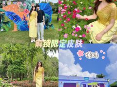 -东南花都花博园