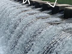 -鹿亭中村