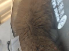 -贝康宠物医院·犬猫全科·小动物特色诊疗中心(东环路店)