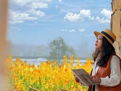 -三圣花乡旅游区