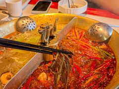 -小龙翻大江文化火锅(宽窄店)
