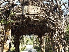 -东平国家森林公园