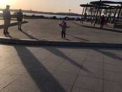 -丁香湖公园