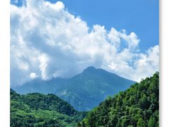 -卧龙中华大熊猫苑神树坪基地