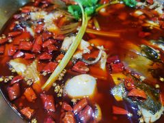 -蛙一刀·麻椒鱼火锅(金仙桥店)