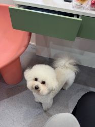 -十孕纪高端孕妇亲子摄影
