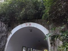 -深圳国际园林花卉博览园