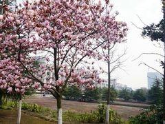 -江南大学(蠡湖校区)