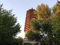 -玲珑塔公园