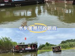 -洪湖湿地生态园