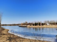 -东郊湿地公园