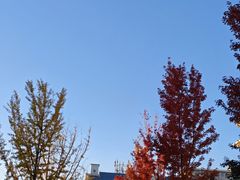 -宏状元现熬粥·京味菜(三里河店)