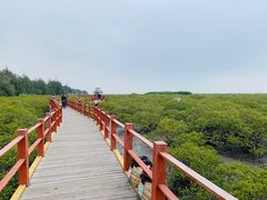 -北海金海湾红树林生态旅游区