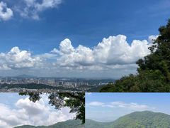 -老虎沟生态农场