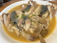 河豚鱼-9号小厨师(端平桥店)