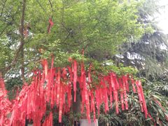 -西安青龙寺遗址景区