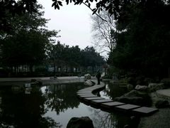 -神仙树公园