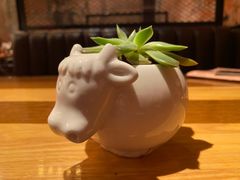 -FAT COW(虹梅路店)