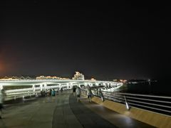 -演武大桥观景平台