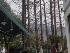 -欣怡茶庄·始于1999(梅家坞店)