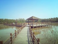 -大湾区中央湿地公园
