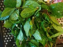 -香丽缘饭馆(黑龙潭店)