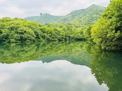 -杭州半山国家森林公园