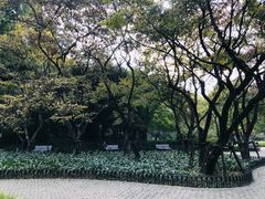 -中山公园