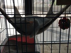 -赢吧Bliss音乐酒吧