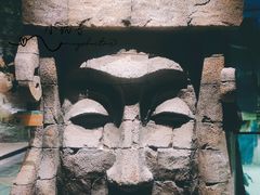 -zoonana室内动物园(东方福来德店)