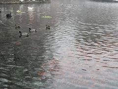 -水磨沟公园