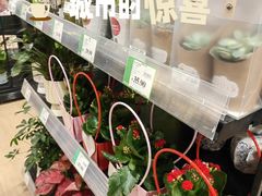 -AEON永旺(东方宝泰店)