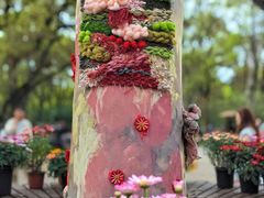 -上海共青森林公园