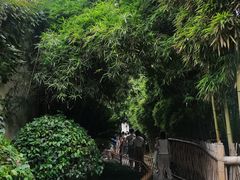 -绍兴鲁迅故里·沈园景区