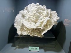 -天津自然博物馆