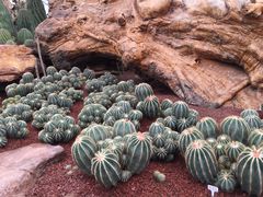 -南通洲际绿博园