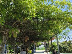 -小鱼草莓采摘园农家乐·小鱼餐厅