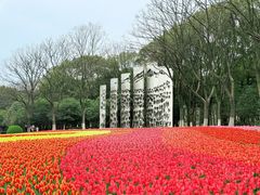 -上海鲜花港
