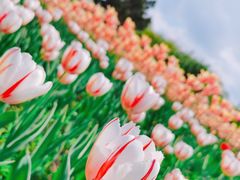 -长春公园(普阳街道)