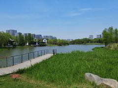 -尚贤河湿地