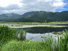-腾冲北海湿地