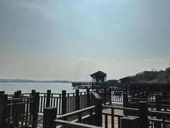 -厦门园林博览苑