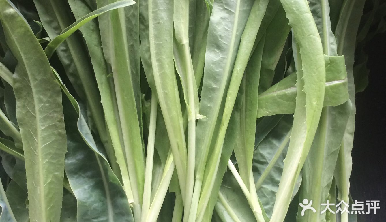 蒜香油麦菜